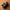 SquareHood Thumb Grip for Ricoh GR III & GR IIIx