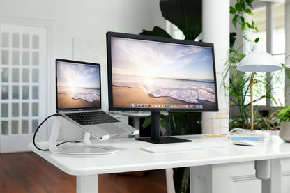 Twelve South Curve SE for MacBooks - White - The Usual